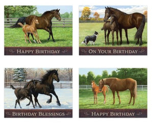Peaceful Pastures, Birthday Boxed Cards (KJV)
