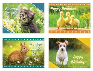 Fuzzy Friends, Children's Birthday Boxed Cards (KJV)