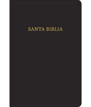 RVR 1960 Biblia Letra Grande Tamaño Manual