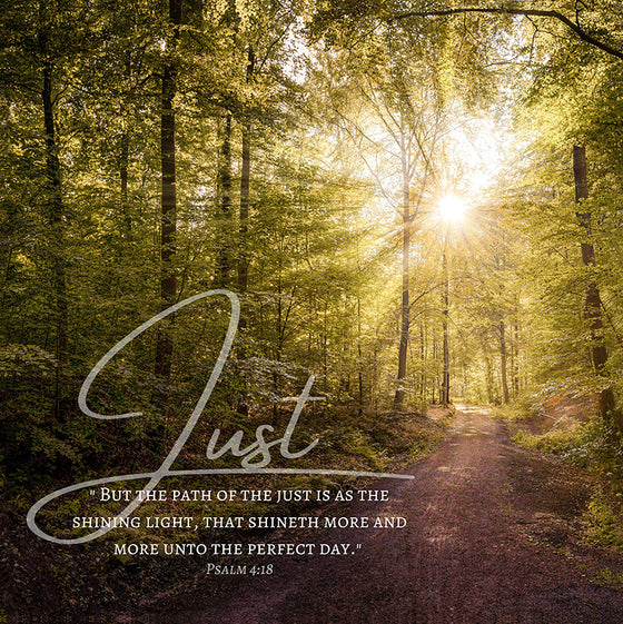 Just (Proverbs 4:18), Canvas Wall Decor