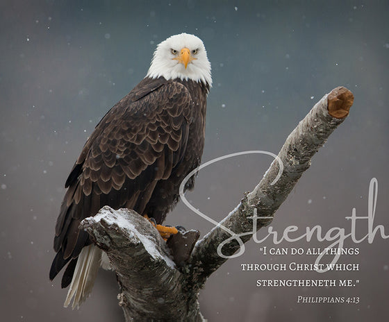Strength, Canvas Wall Decor