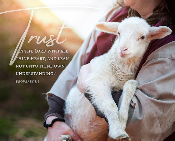 Trust (Proverbs 3:5), Canvas Wall Decor