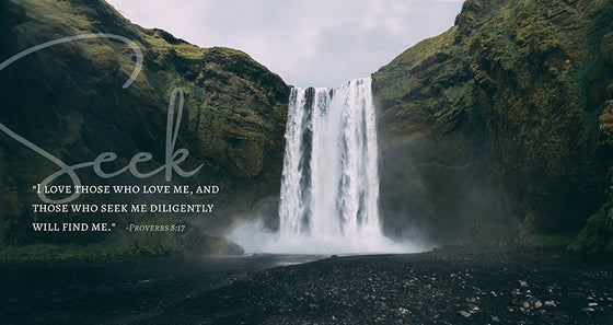 Seek (Proverbs 8:17), Canvas Wall Decor