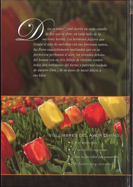 Vislumbres del Amor Divino