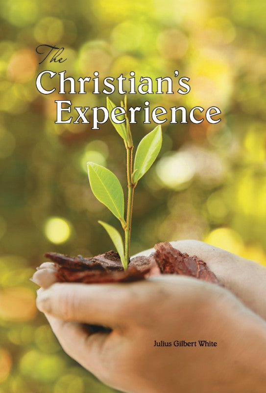 The Christian's Experience