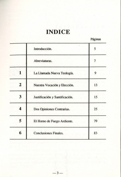 Consideraciones Sobre la Nueva Teologia