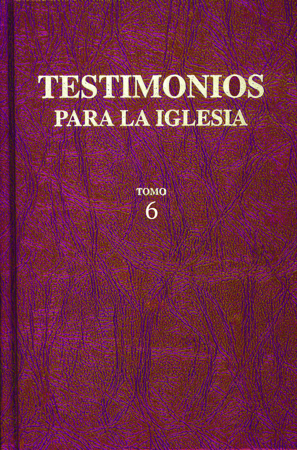 Testimonios Para la Iglesia, Tomo 6