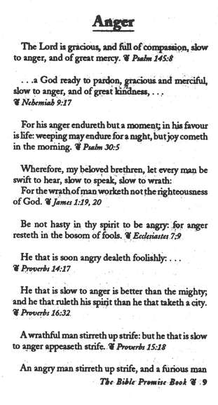 The Bible Promise Book, KJV