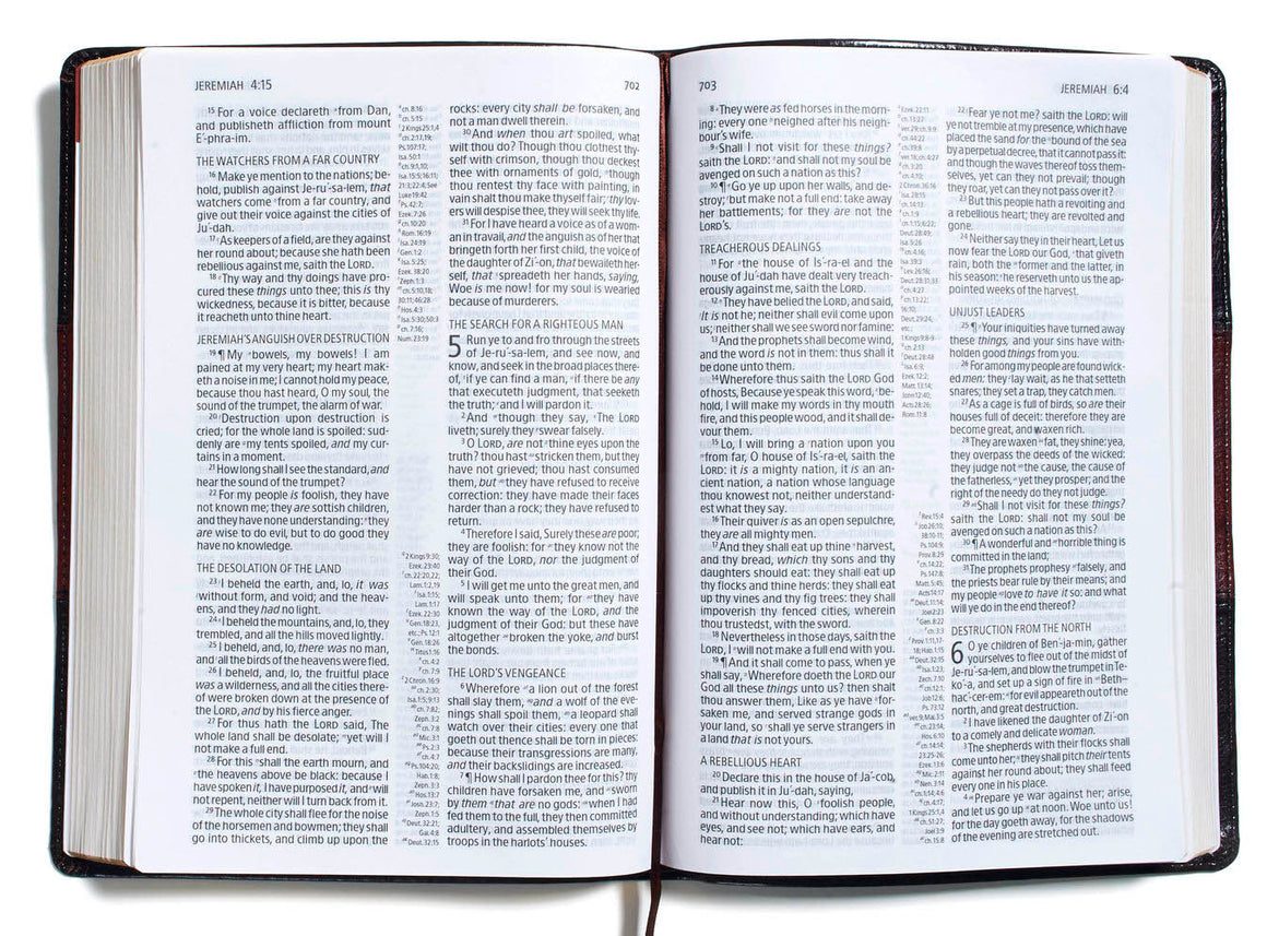 Bible: KJV, Large Print Ultrathin Reference Bible, Saddle Brown