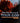 Worship the Lord Your God Series, 4 DVD Set