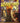 Old Testament Bible Story Adventures