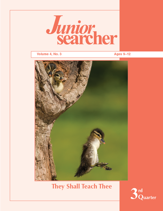 Junior Searcher, Vol. 4, #3