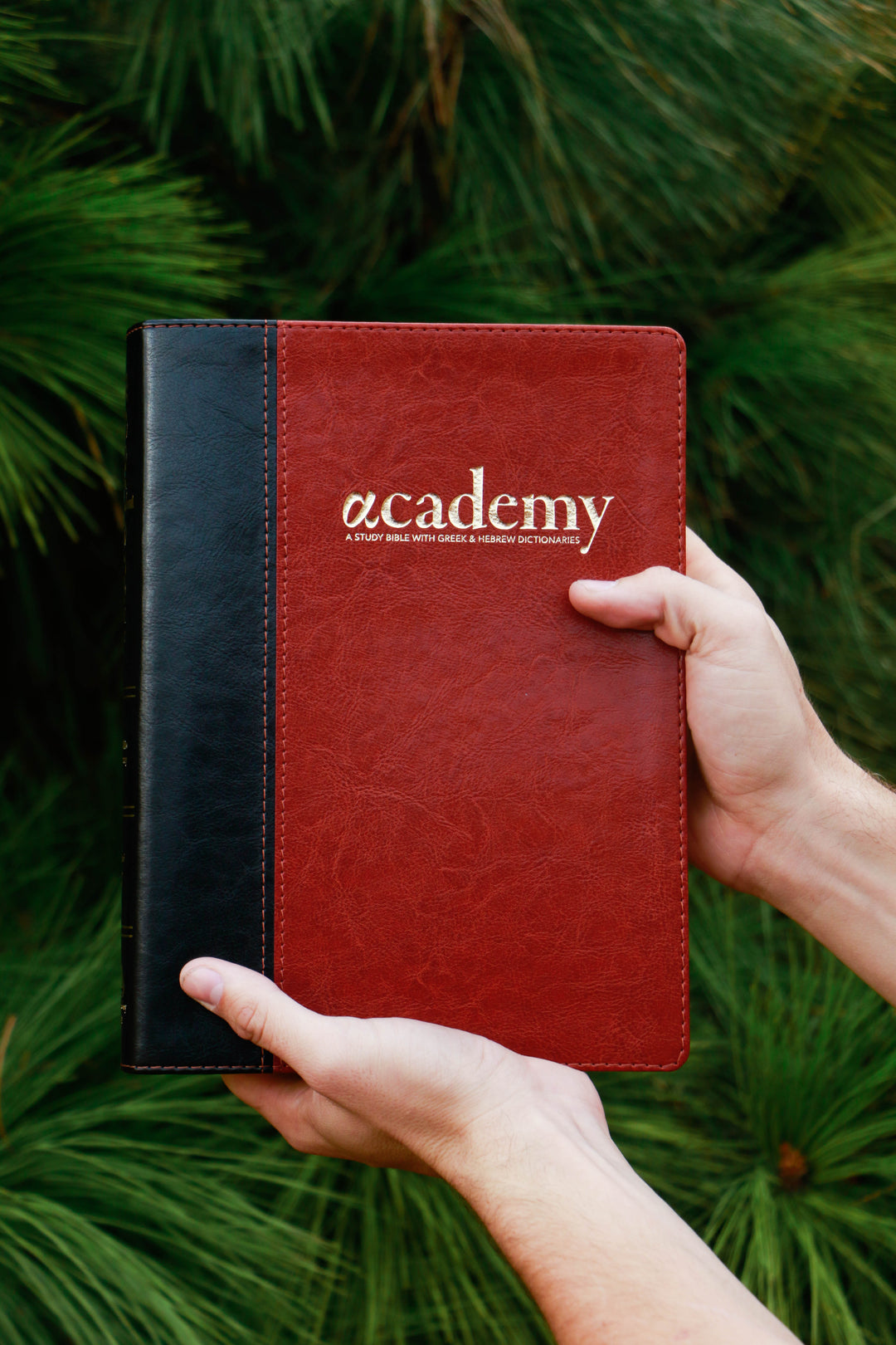 Academy Study Bible - Chestnut Brown Edition—Shipping in May