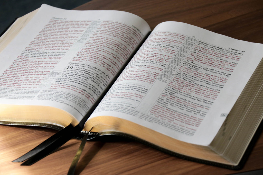 Academy Study Bible - Sapphire Blue Edition—Shipping in May