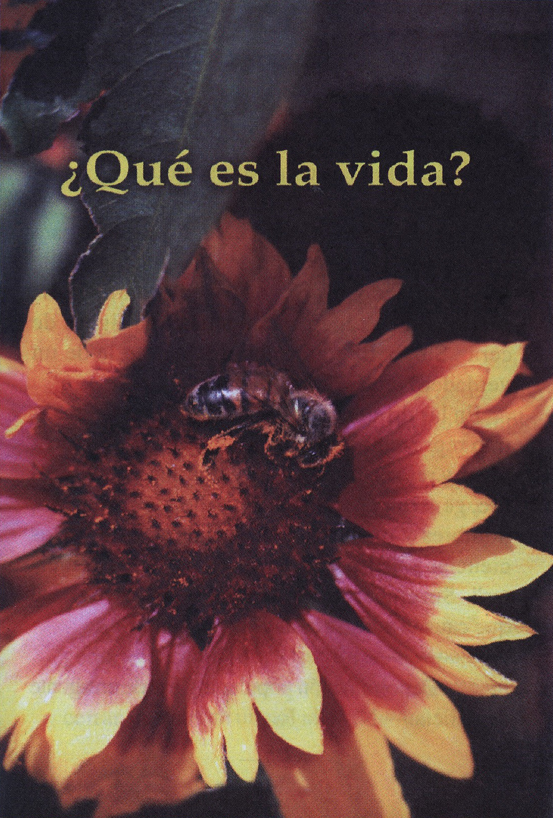 Que es la vida