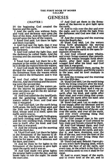 Seaside Bible: KJV, Bible for Children
