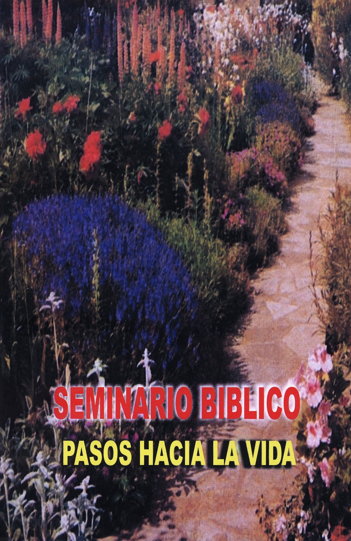 Curso Biblico: Pasos Hacia la Vida