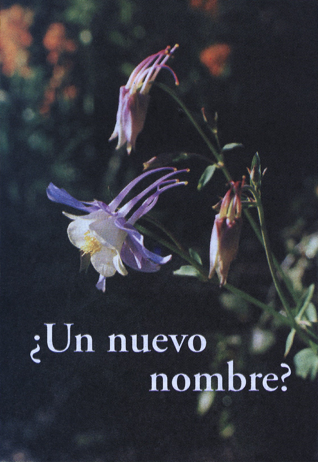 Un Nuevo Nombre
