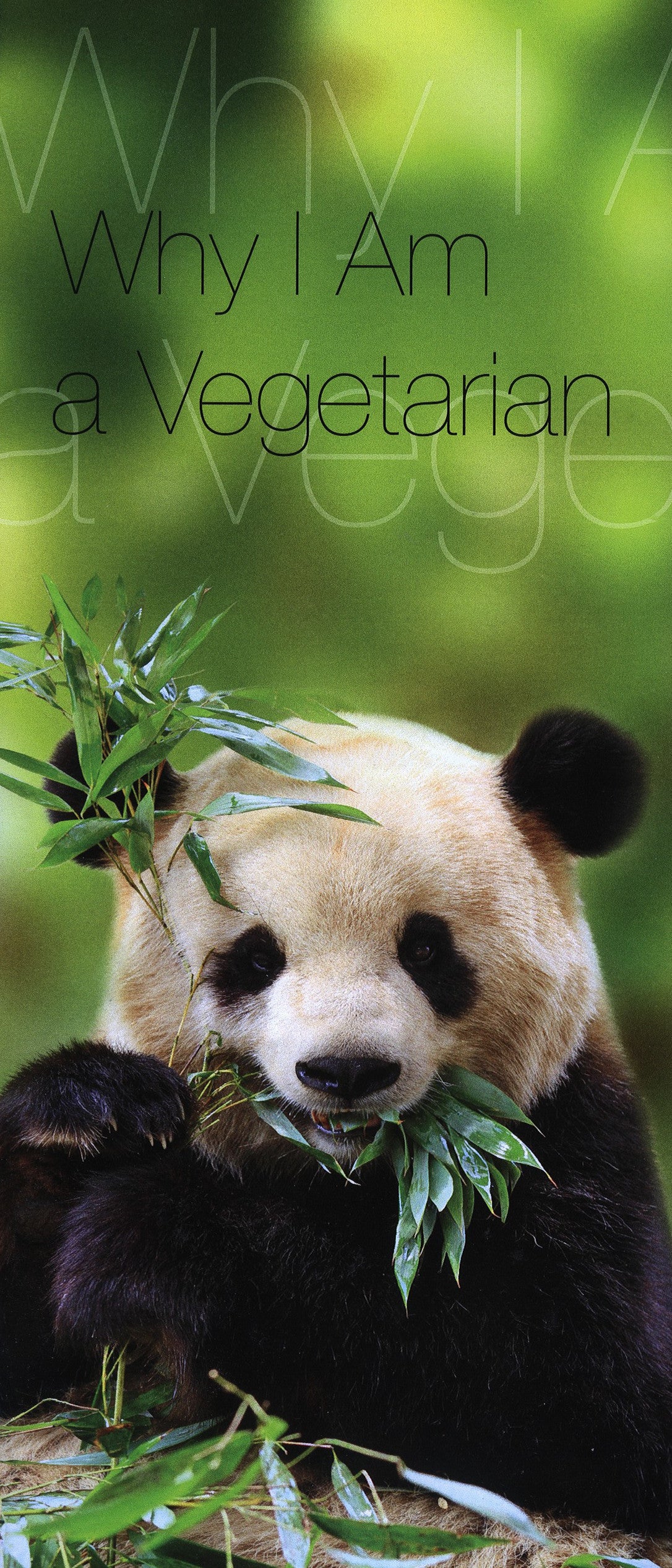 Why I Am a Vegetarian